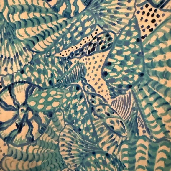 Lilly Pulitzer Easley short sleeve dress
Almafi Blue by the Seashore - Picture 2 of 4